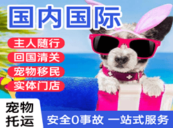 朔州滋润机场邮寄国际宠物托运 【国